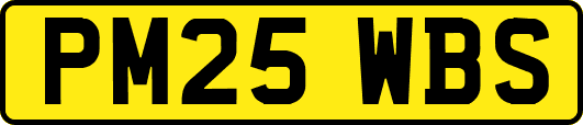 PM25WBS