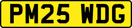PM25WDG