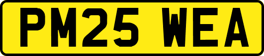 PM25WEA