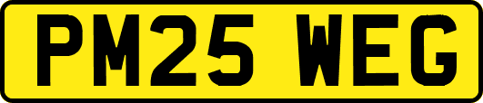PM25WEG