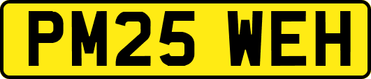PM25WEH