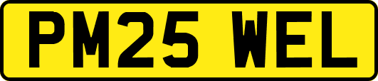PM25WEL