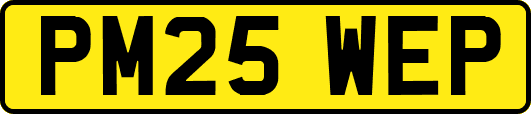 PM25WEP