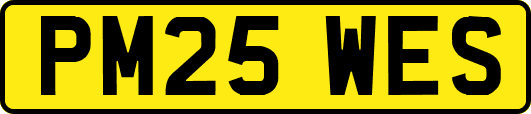 PM25WES