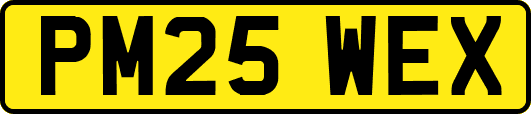 PM25WEX