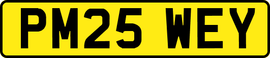 PM25WEY