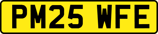 PM25WFE