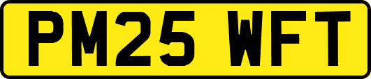 PM25WFT