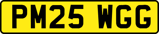 PM25WGG