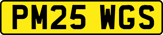 PM25WGS