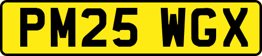PM25WGX