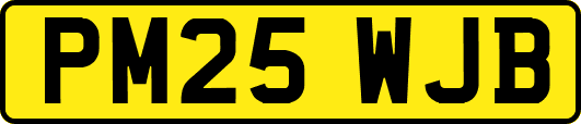 PM25WJB
