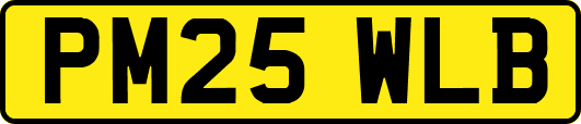 PM25WLB