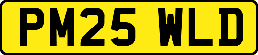 PM25WLD