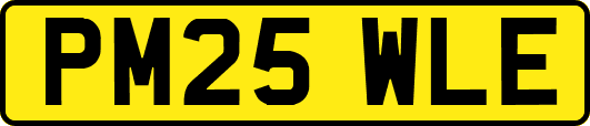 PM25WLE