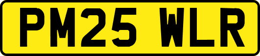 PM25WLR
