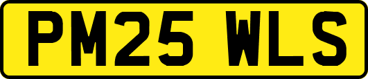 PM25WLS