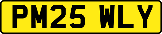 PM25WLY