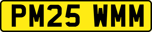 PM25WMM