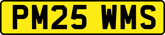 PM25WMS