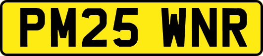 PM25WNR