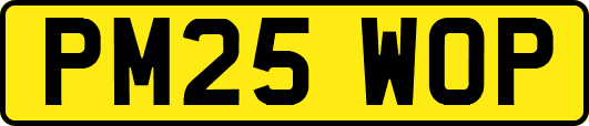 PM25WOP