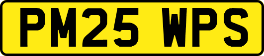 PM25WPS