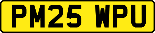 PM25WPU
