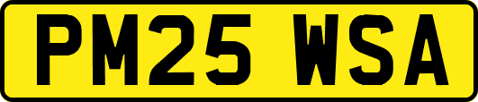 PM25WSA
