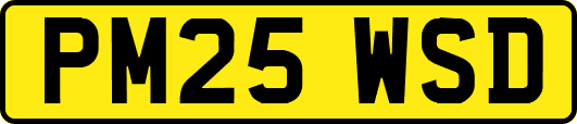 PM25WSD