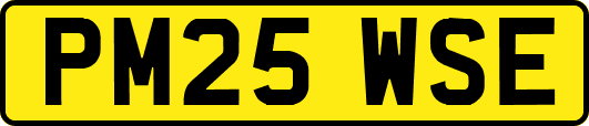 PM25WSE