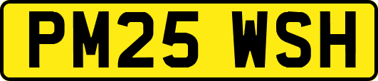 PM25WSH