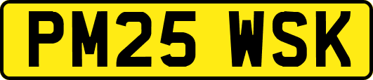 PM25WSK