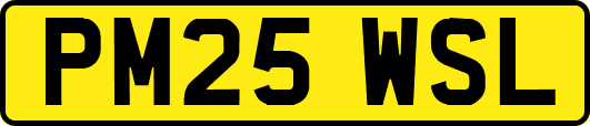 PM25WSL