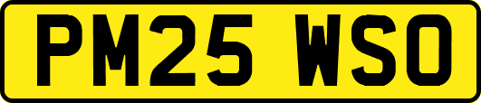 PM25WSO