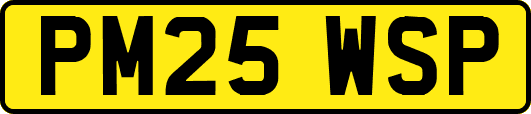 PM25WSP
