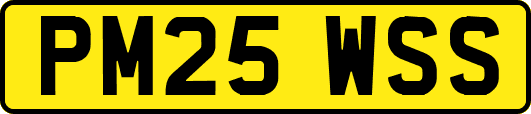 PM25WSS