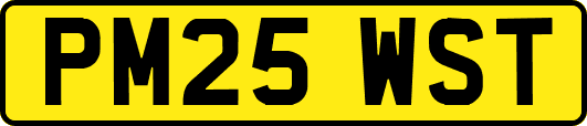 PM25WST