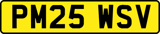 PM25WSV
