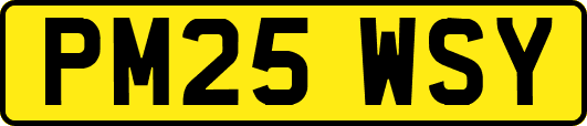 PM25WSY