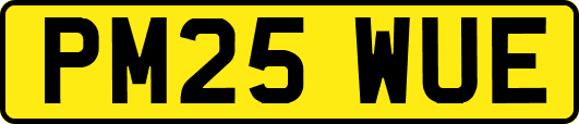 PM25WUE