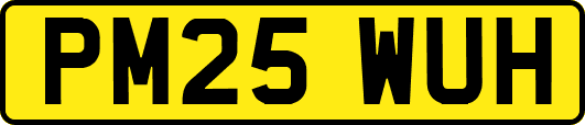 PM25WUH