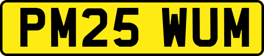 PM25WUM