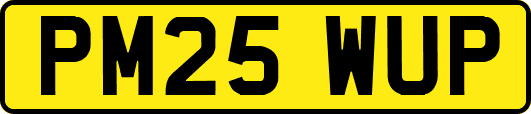 PM25WUP