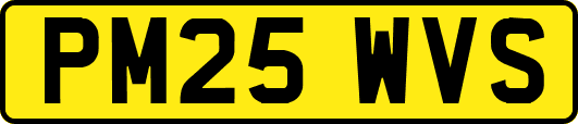PM25WVS