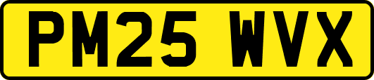 PM25WVX