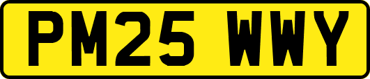 PM25WWY