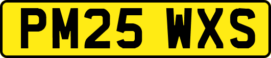 PM25WXS