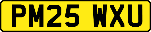 PM25WXU