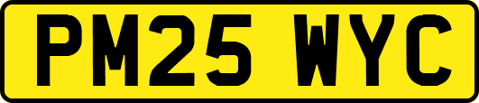 PM25WYC